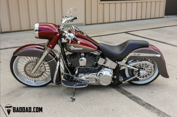 Bad Dad 21" MO' FL Front Fender