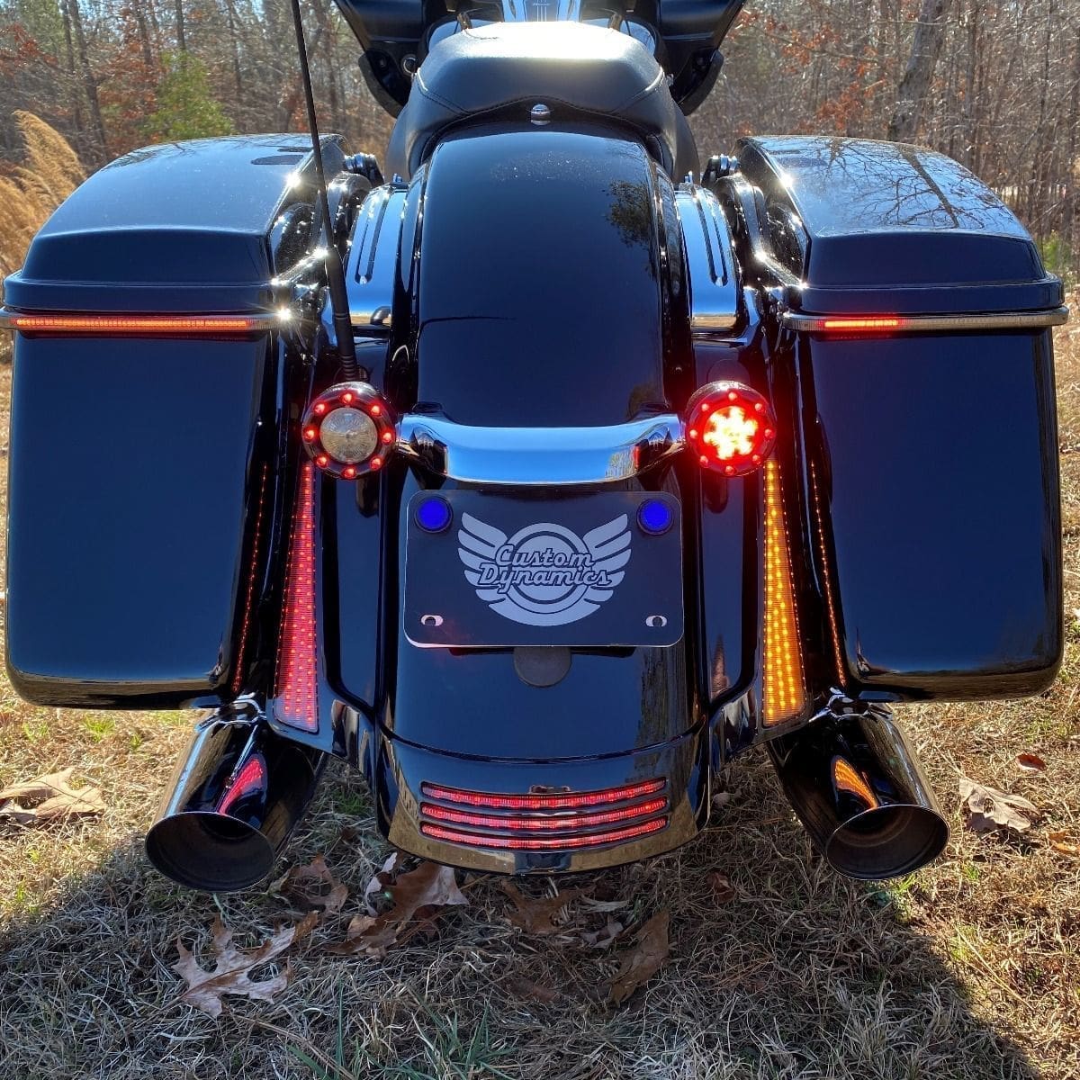 Dual Color Fascia LED Panel Lights Chrome, '10-'13 SG/RG