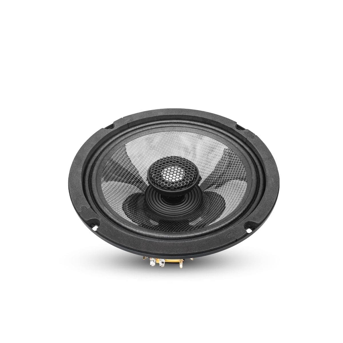 Euphoria Xpert 8" Point Source Neo Carbon Fiber Loudspeaker