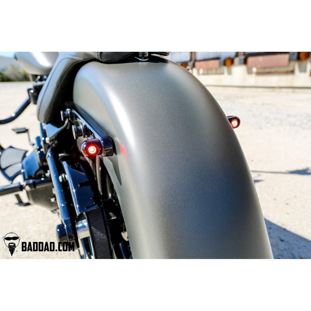 Bad Dad 390 Tail Lights
