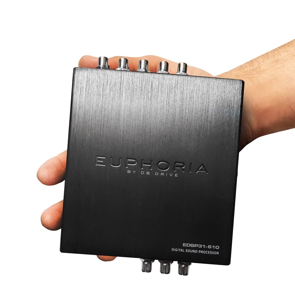 Euphoria 31 Band DSP 6 In 10 Out