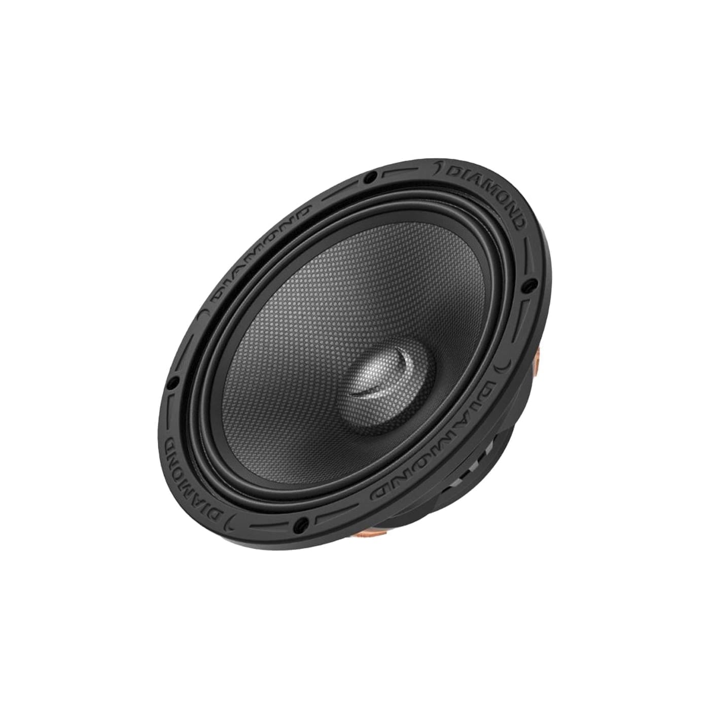 Diamond Audio 10" Neodymium Mid Bass Driver